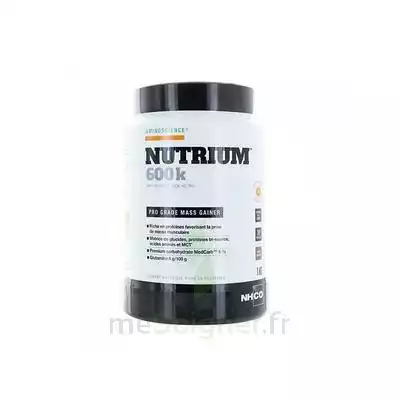 Aminoscience Santé Performance Nutrium 600k ® Chocolat Poudre Pot/1kg à Mérignac